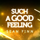 Sean Finn - Such A Good Feeling (Remix)