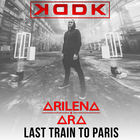 Last Train To Paris (Feat. Arilena Ara) (Radio Edit) (CDS)