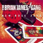 Brian James - New Rose 2006