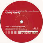 Ananda Project - Glory Glory (VLS)