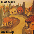 The Blake Babies - Earwig