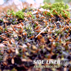 Side Liner - Ambienthology