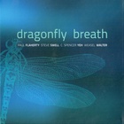 Paul Flaherty - Dragonfly Breath
