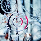 Side Liner - Dream Catcher