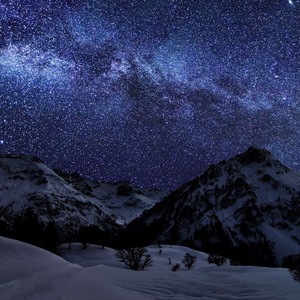You Are The Stars
