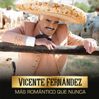 Vicente Fernández - Más Romántico Que Nunca