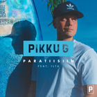 Pikku G - Paratiisiin (Feat. Ilta) (CDS)