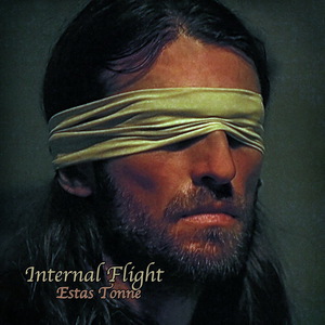 Internal Flight 2013 (Guitar Version)