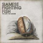 Siamese - We Are The Sound