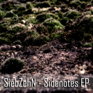 Sidenotes (EP)