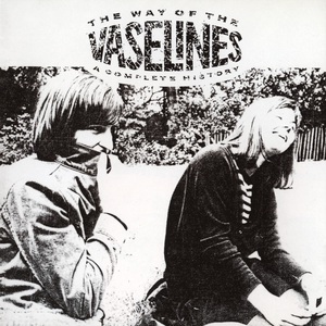 The Way Of The Vaselines (A Complete History)