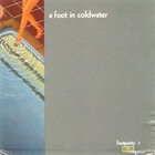 Footprints The Best Of A Foot In Coldwater Vol. 1 (Vinyl)