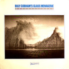 Observations & Reflections (Vinyl)