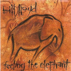 Feeling The Elephant (Reissued 1990)
