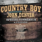 Country Boy: A Bluegrass Tribute To John Denver