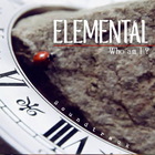 Estas Tonne - Elemental (Who Am I ?!) (With La Familia Cosmica) (CDS)