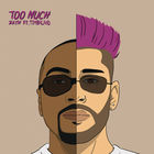 Too Much (CDS)
