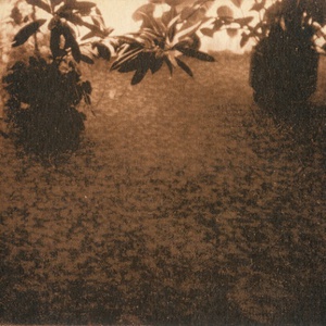 Tulkinta