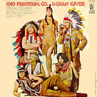1910 Fruitgum Company - Indian Giver (Vinyl)
