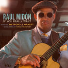 Raul Midon - If You Really Want