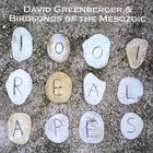 Birdsongs Of The Mesozoic - 1001 Real Apes (With David Greenberger)