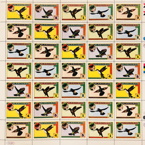 Hummingbird (Vinyl)