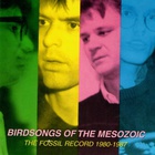 Birdsongs Of The Mesozoic - The Fossil Record 1980-1987