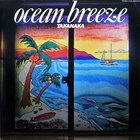 Masayoshi Takanaka - Ocean Breeze (Vinyl)
