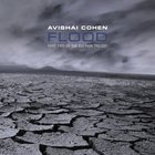 Avishai Cohen - Flood - Part Two Of The Big Rain Trilogy