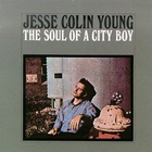 Jesse Colin Young - The Soul Of A City Boy (Vinyl)