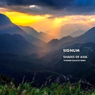Shades Of Asia (Vladimir Galactix Remix) (CDS)