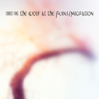 Forrest Fang - The Wolf At The Ruins / Migration CD1