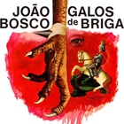Joao Bosco - Galos De Briga (Vinyl)