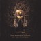 Dark Mirror Ov Tragedy - The Lord Ov Shadows