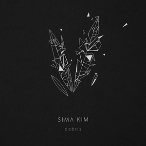 Debris