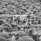 Suicide Boys - Grey Sheep II (EP)