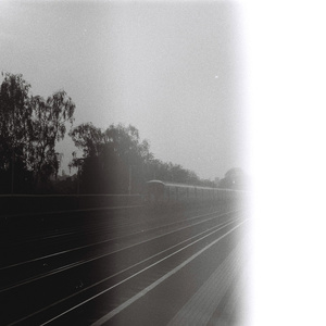 Untitled2_4 (With Mugwood)