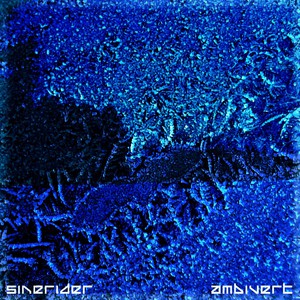 Ambivert
