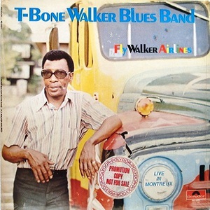 Fly Walker Airlines (Vinyl)