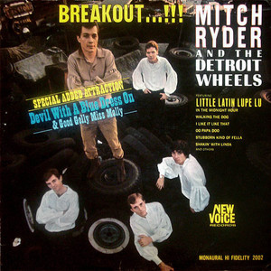 Breakout (Vinyl)