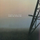 Black Swan Lane - Under My Fallen Sky