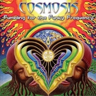 Cosmosis - Fumbling For The Funky Frequency