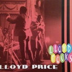 Lloyd Rocks