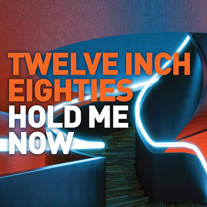 Twelve Inch Eighties: Hold Me Now CD3