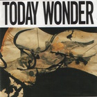 Ed Kuepper - Today Wonder (Remastered 2002)
