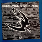 Birdsongs Of The Mesozoic - Birdsongs Of The Mesozoic (EP) (Vinyl)
