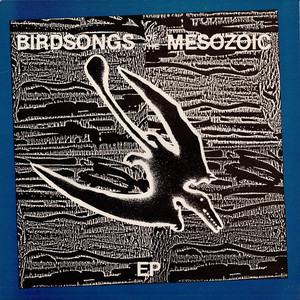 Birdsongs Of The Mesozoic (EP) (Vinyl)