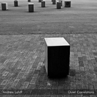 Andrew Lahiff - Quiet Correlations