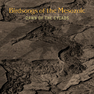 Dawn Of The Cycads CD1