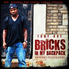 Troy Ave - Bricks In My Backpack (The Harry Powder Story)
